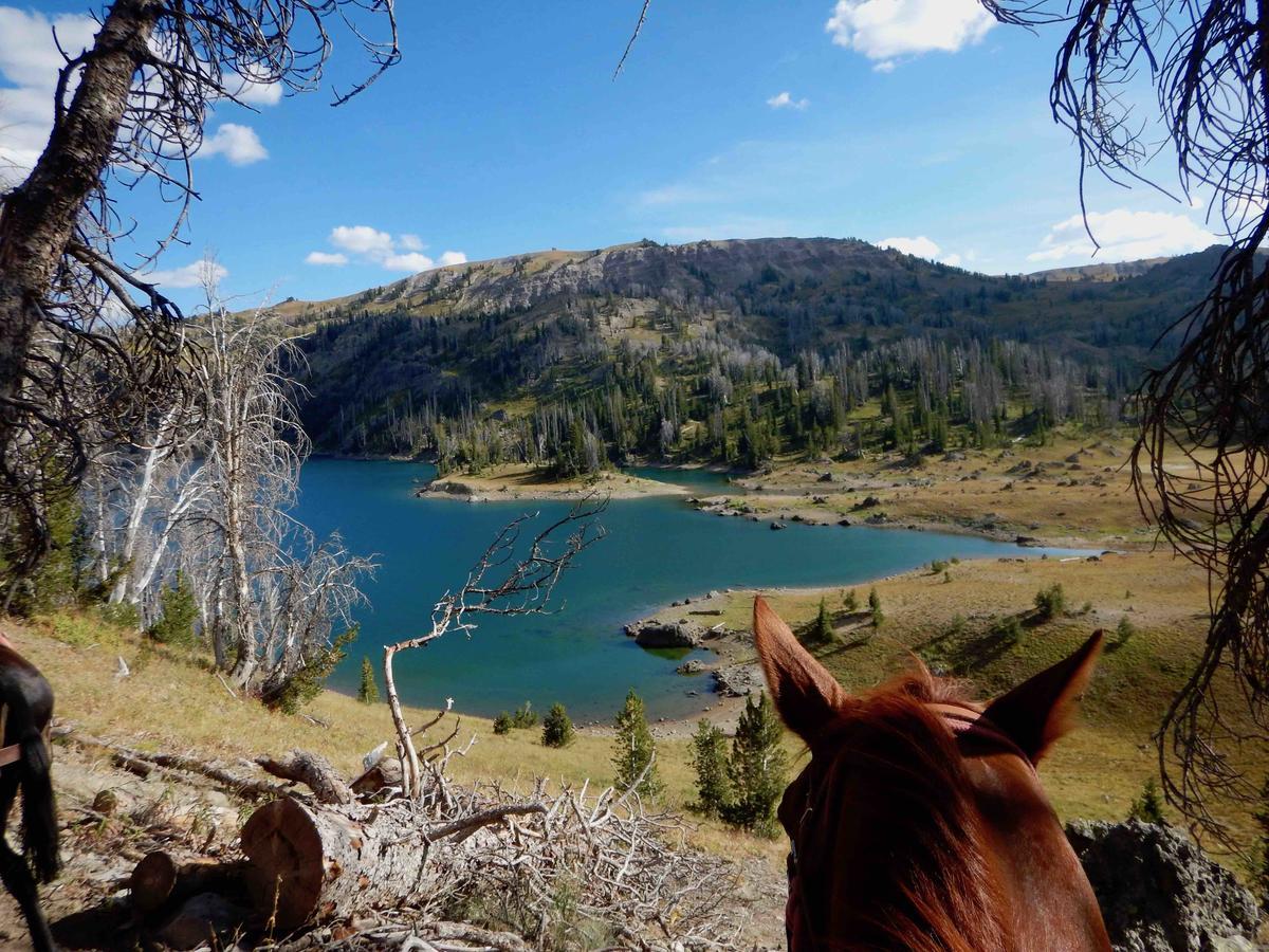 Buffalo Valley Ranch Моран Екстериор снимка